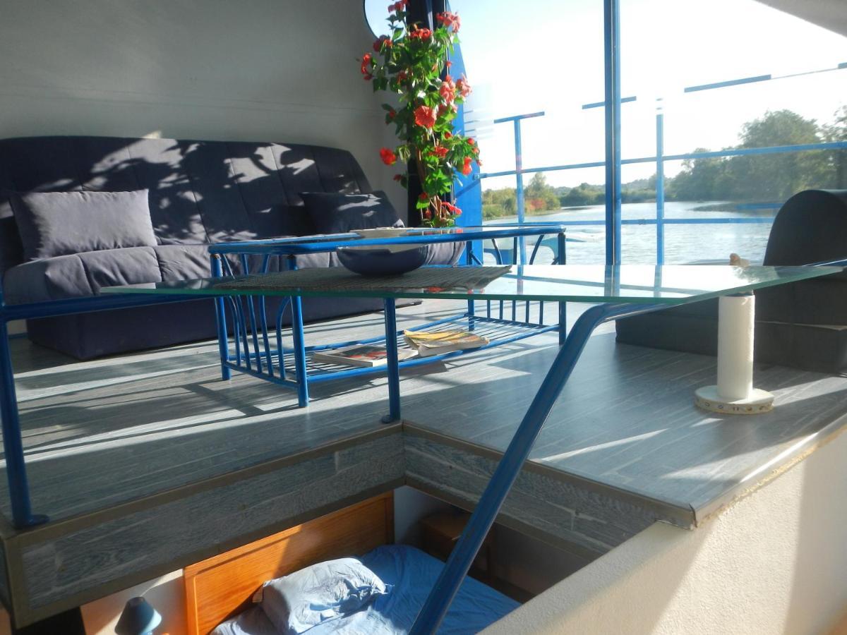Maison Flottante Sur La Seille 屈斯里 外观 照片